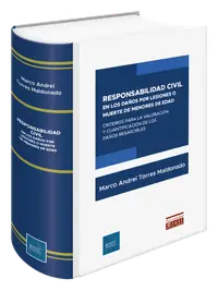 Portada de Responsabilidad Civil en los Daños por Lesiones o Muerte de Menores de Edad